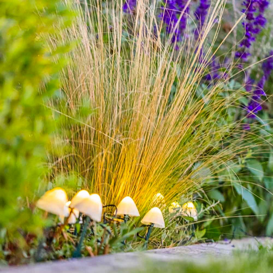 10 Champignons solaires connectés CHAMPY 3.8M