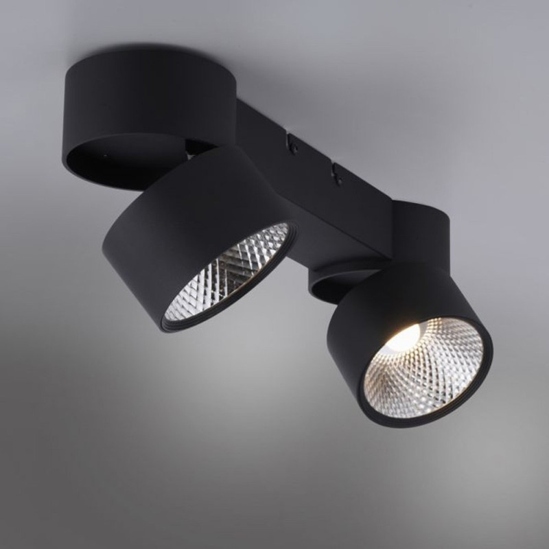 Rampe 2 Spots Nola Noir Led Puissant Et Dimmable