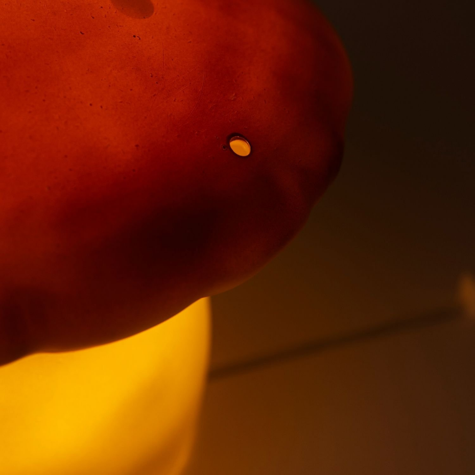 Lampe veilleuse champignon