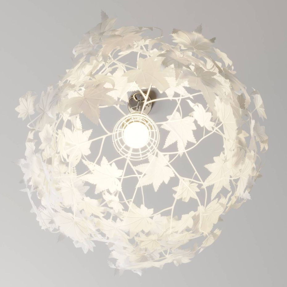 Suspension  jeunes, Maple