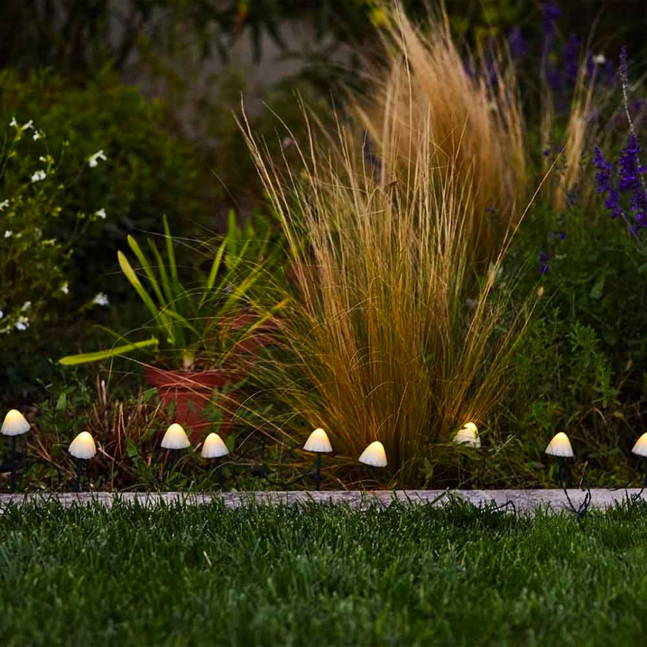 10 Champignons solaires connectés CHAMPY 3.8M