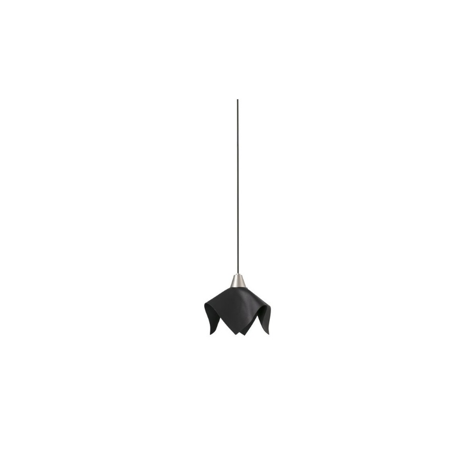 Suspension    FAUNA
