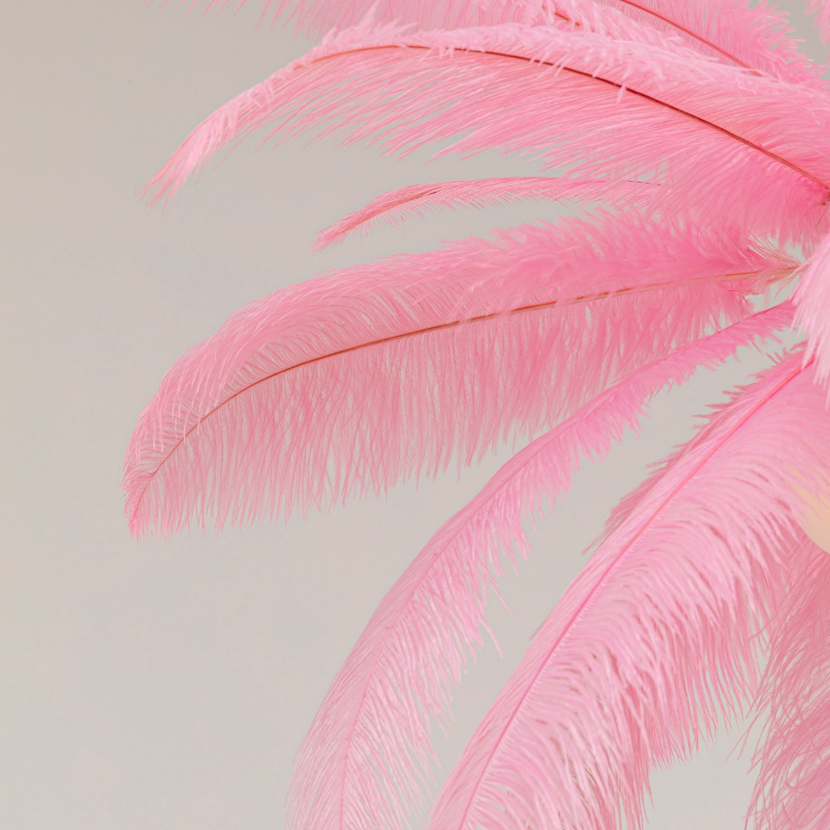 Suspension plumes