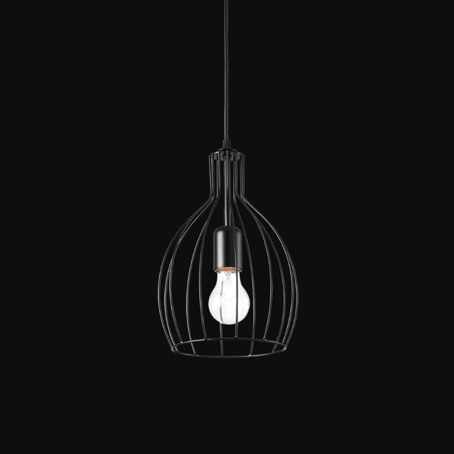 Suspension    AMPOLLA